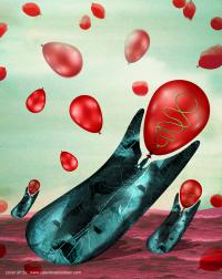 Inflating Balloon-like Forespores