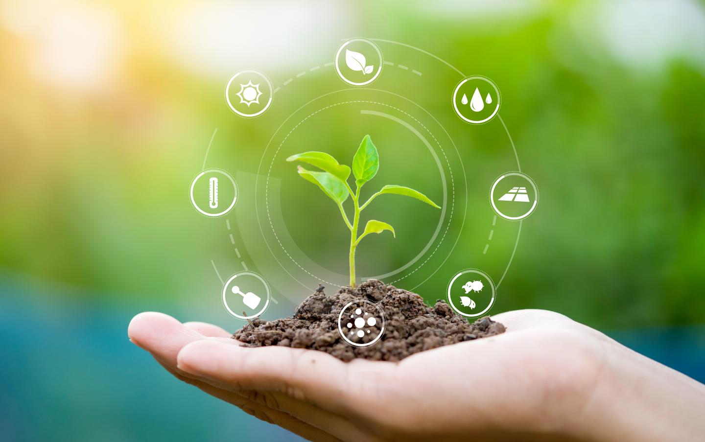 Modern agriculture