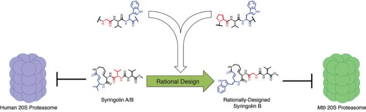 Rational Design