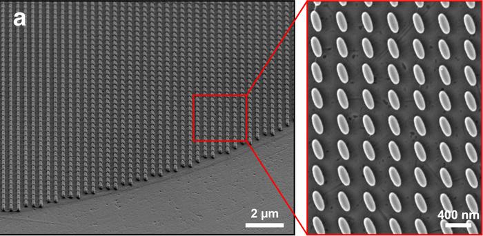 Electron microscope images of AI-designed metasurface