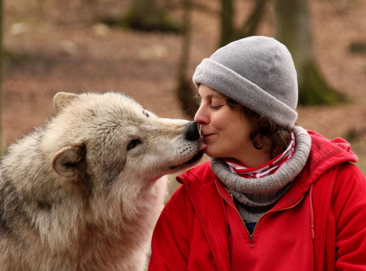 Canine Cooperation Hypothesis