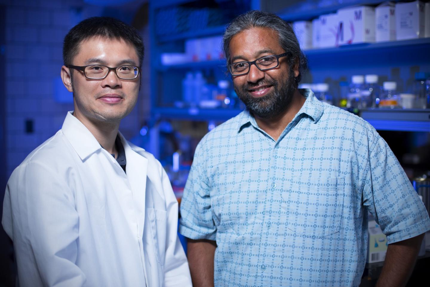 Chi-Fu Yen and Sanjeevi Sivasankar, Iowa State University