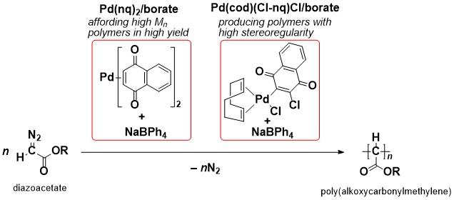 C1 Polymerization