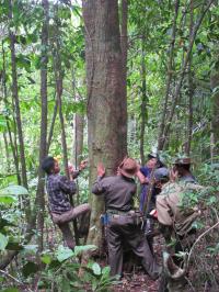 NYBG Myanmar Program (3 of 3)