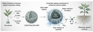 Green-synthesized iron nanoparticles enhance CMC/PVA coatings for biochar‑zeolite slow‑release fertilizers