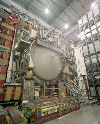 DZero Detector