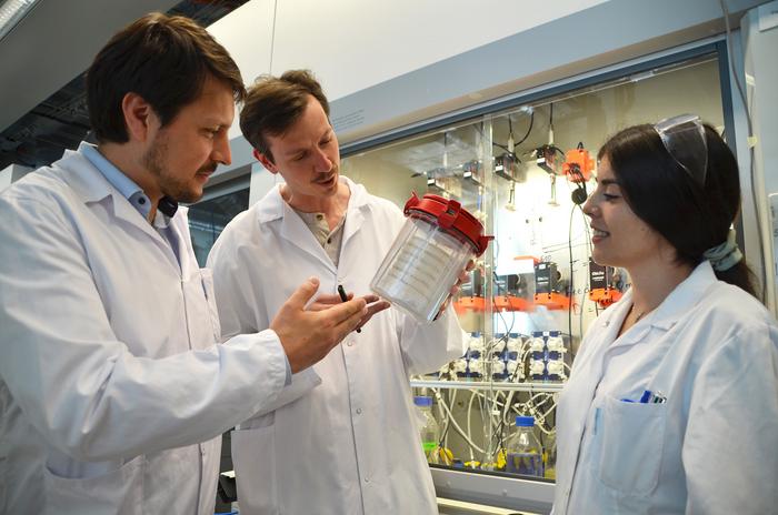 The research team
