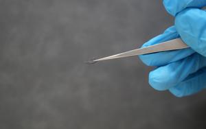 High-Energy-Density Barocaloric Material Could Enable Smaller, Lighter Solid-State Cooling Devices