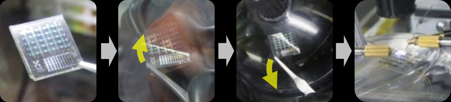 Pv3D3 Polymeric Films Embedded