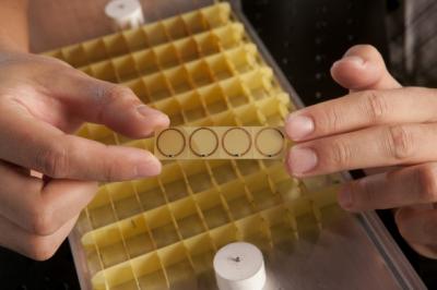 Metamaterial Device