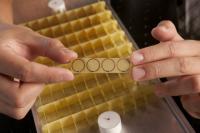 Metamaterial Device