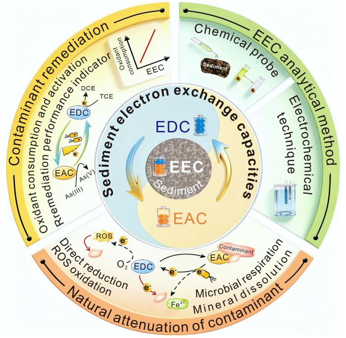 Electron exchange capacities of sediments as chemical controls on natural attenuation and engineered remediation of contaminated aquifers