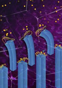 Illustration of the Microfluidic System