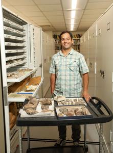 UTEP Dinosaur Discovery Extends Known Range of Ancient Species