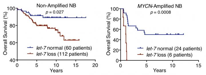 Let-7 and Neuroblastoma Survival