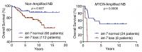 Let-7 and Neuroblastoma Survival