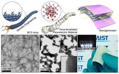 Biotemplated Nanogenerator