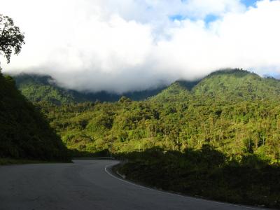 A Biodiversity Hotspot's Response to Ancient Climate Change (1 of 3)