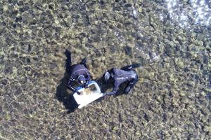 scientists collect algae-covered rocks in Tahoe