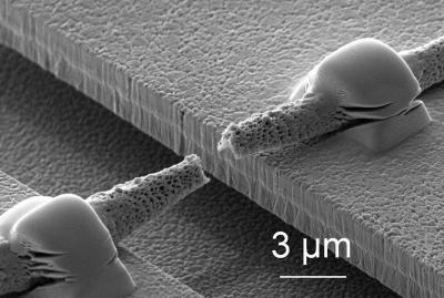 NonWovens as Scaffolds for Artificial Tissue