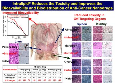 Intralipid Reduces Toxicity, Increases Bioavailability of Chemotherapy Nanodrug