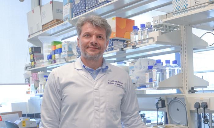Image 3 - NTU Singapore's Prof Kristijan Ramadan