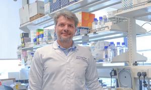 Image 3 - NTU Singapore's Prof Kristijan Ramadan