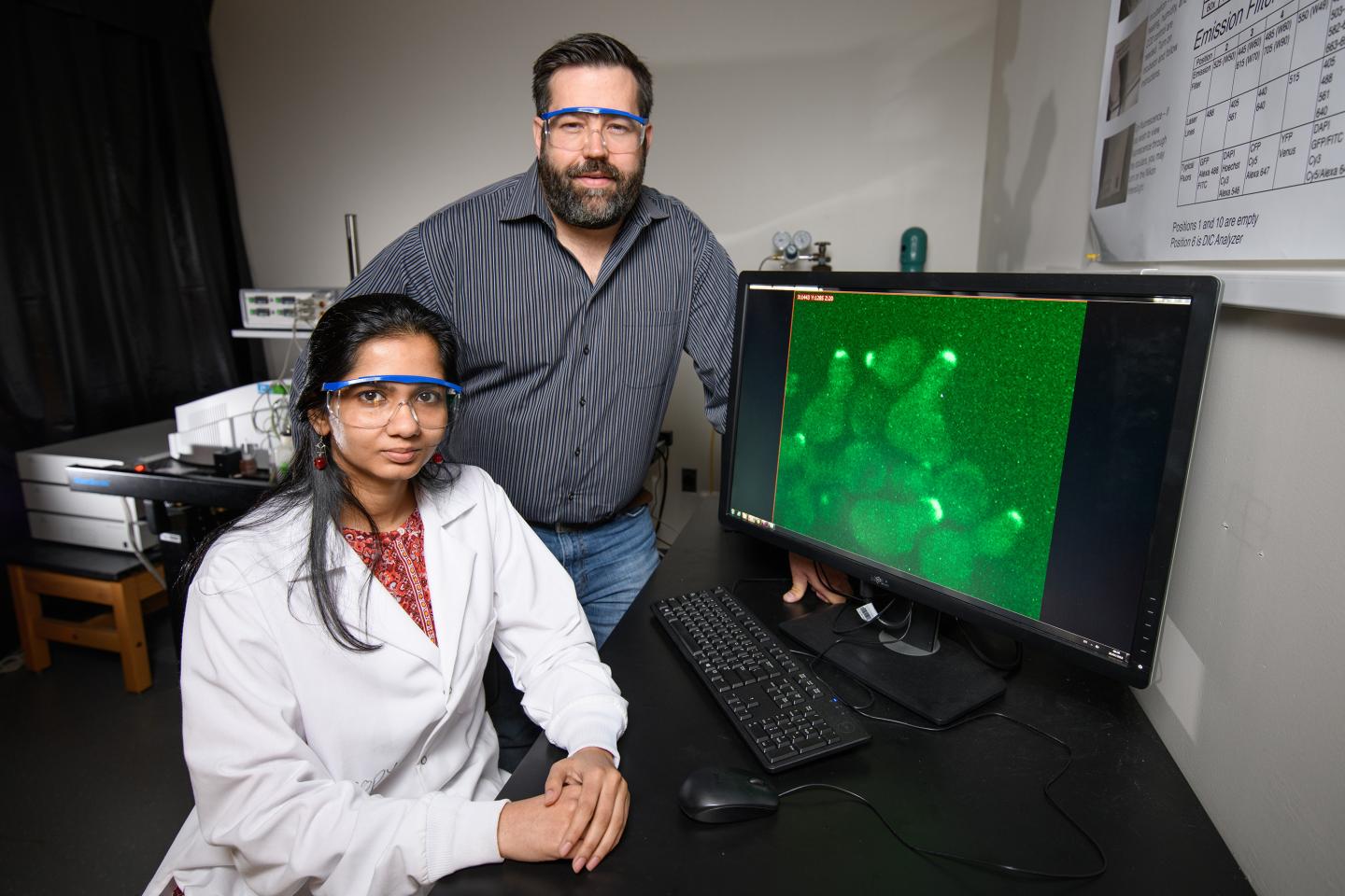 Studying cell G Protein Signaling