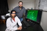 Studying cell G Protein Signaling