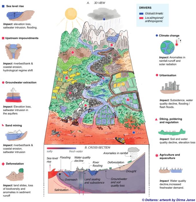 Climatic and anthropogenic drivers of change in the world’s deltas.