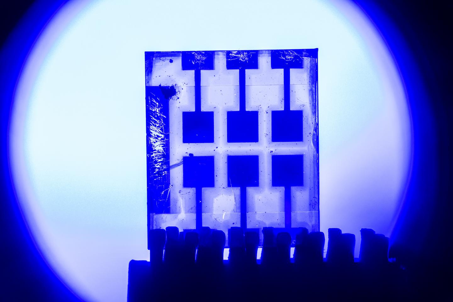 Perovskite Photodetector