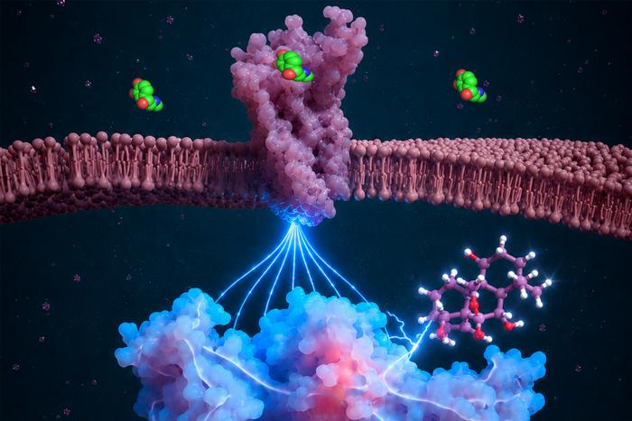 Inhibiting signaling with small molecules