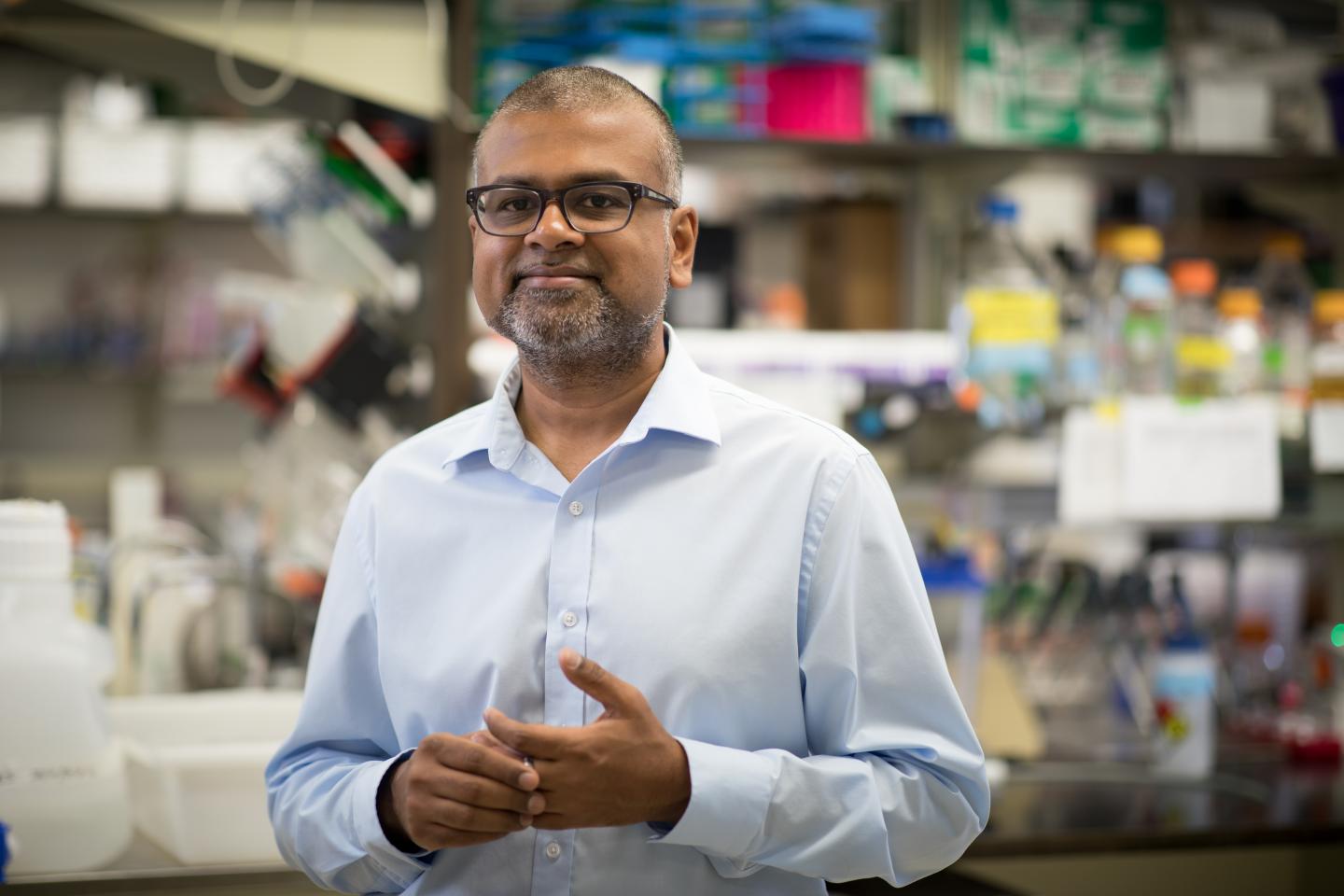 Kartik Chandran, Albert Einstein College of Medicine