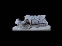 Animation Sequence <i>Romundina</i> Fish Fossil