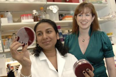 Dr. Lora Hooper, UT Southwestern Medical Center