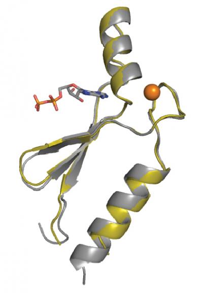 Lab Evolved Proteins