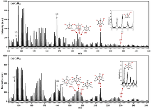 Evidence Proves Essential Role of O2-bridged Bicyclic Compounds in Formation of Secondary Organic Aerosol