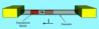 A Memory Device Capable of Storing Data