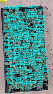 Qualitative evaluation based on real-time detector performance