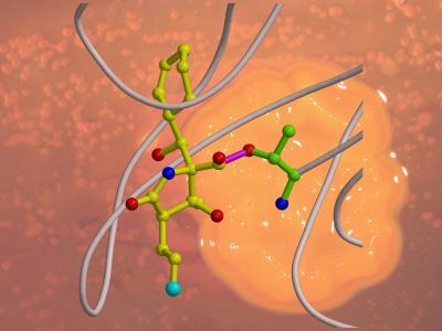 Salinosporamide A