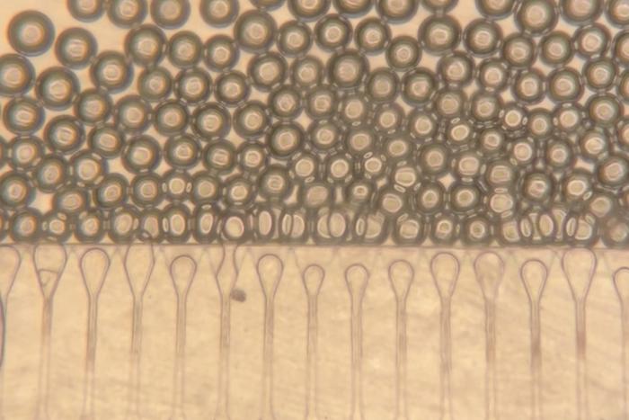 Hydrogel microspheres
