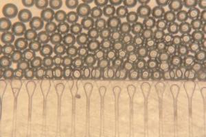 Hydrogel microspheres