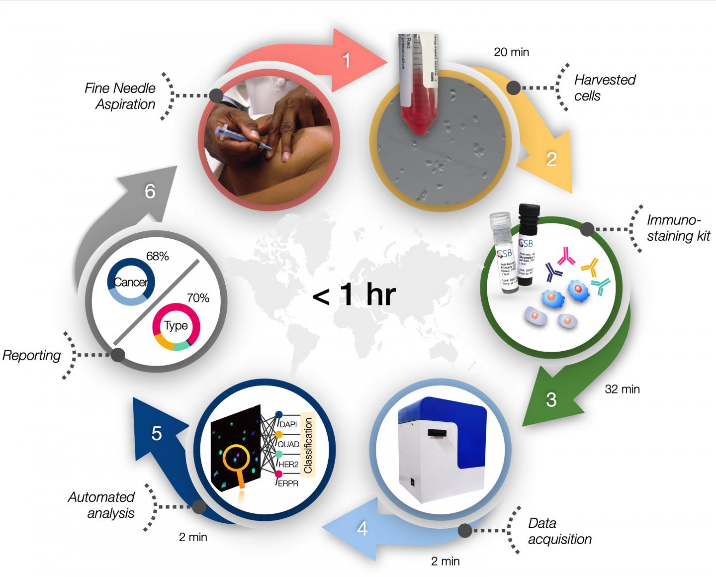 A One-Step Diagnostic May Bring Faster, Cheaper Cancer Testing to Remote Settings (3 of 3)