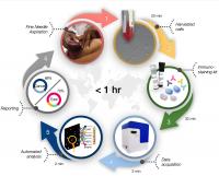 A One-Step Diagnostic May Bring Faster, Cheaper Cancer Testing to Remote Settings (3 of 3)