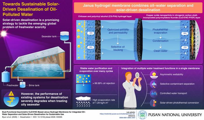 Double-faced membrane combines two key functions for seawater desalination