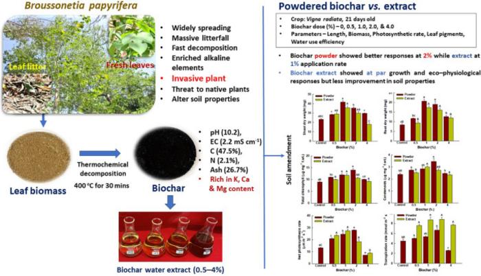 Comparative investigation of powder and extract of biochar from Broussonetia papyrifera on the growth and eco-physiological attributes of Vigna radiata