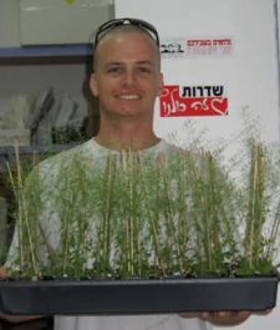 Tal Sherman