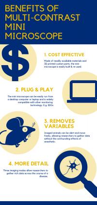 Infographic