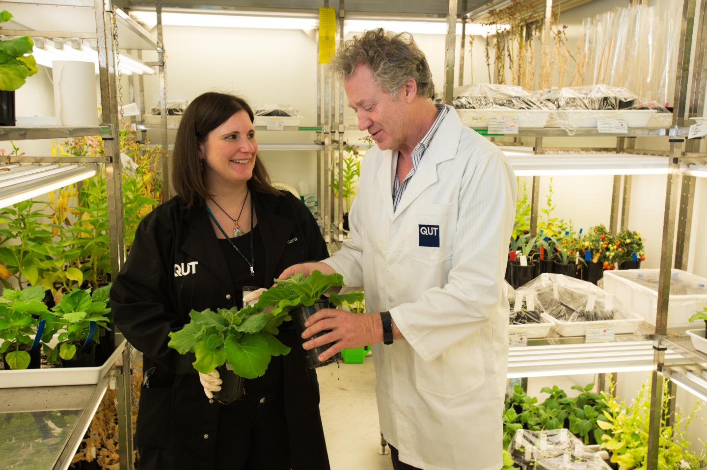 Dr. Cara Mortimer and Professor Peter Waterhouse, Queensland University of Technology  