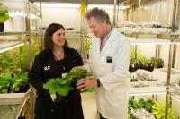 Dr. Cara Mortimer and Professor Peter Waterhouse, Queensland University of Technology  